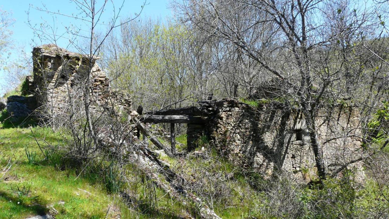 Villa El Huerto De Leon Pradena del Rincon Exterior foto